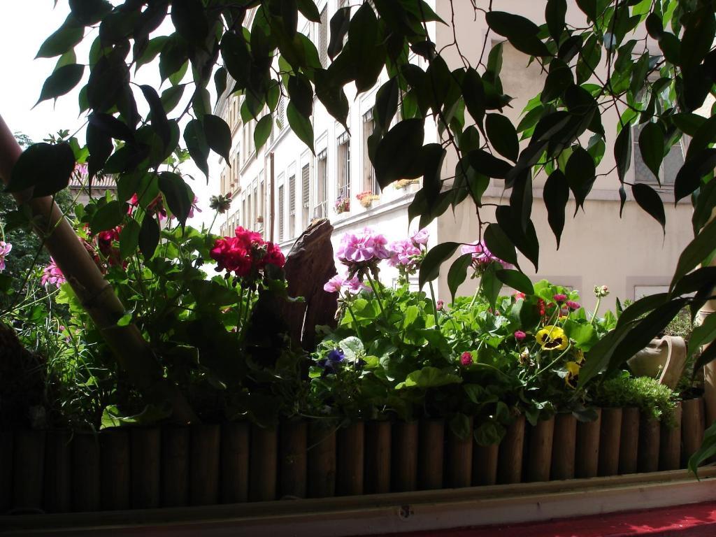 Chambres Les Soyeuses Лион Екстериор снимка