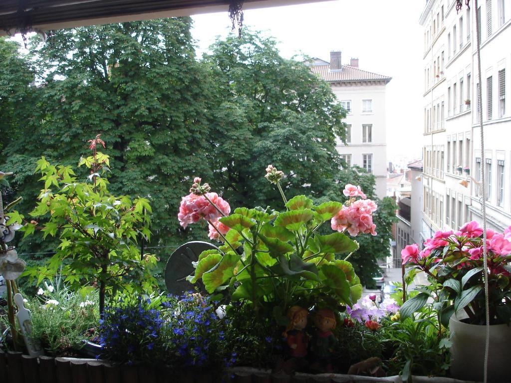 Chambres Les Soyeuses Лион Екстериор снимка